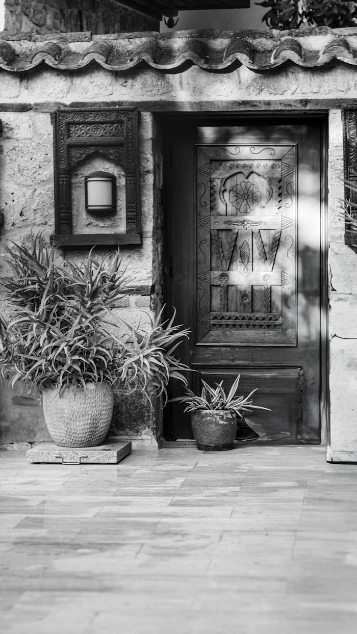 A classic black and white photo of a rustic stone doorway, adorned with potted plants.